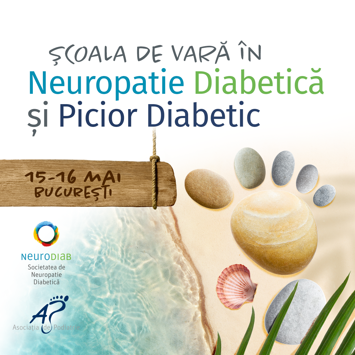 Școala de Vară în Neuropatie Diabetică și Picior Diabetic 