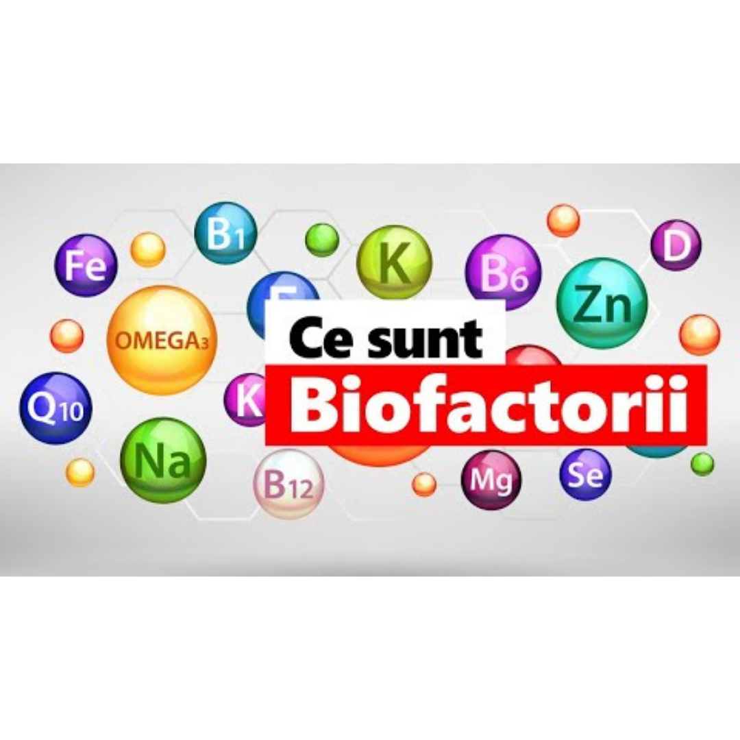 Ce sunt Biofactorii? Ce sunt Biofactorii?